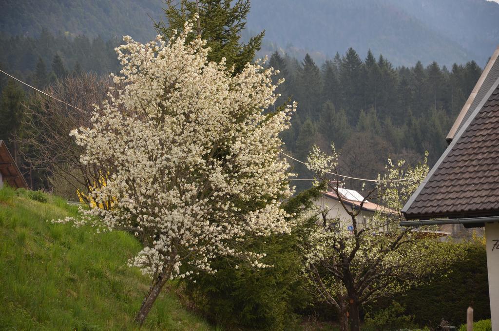 Pension Zum Schreiner Hermagor-Pressegger See Exterior foto